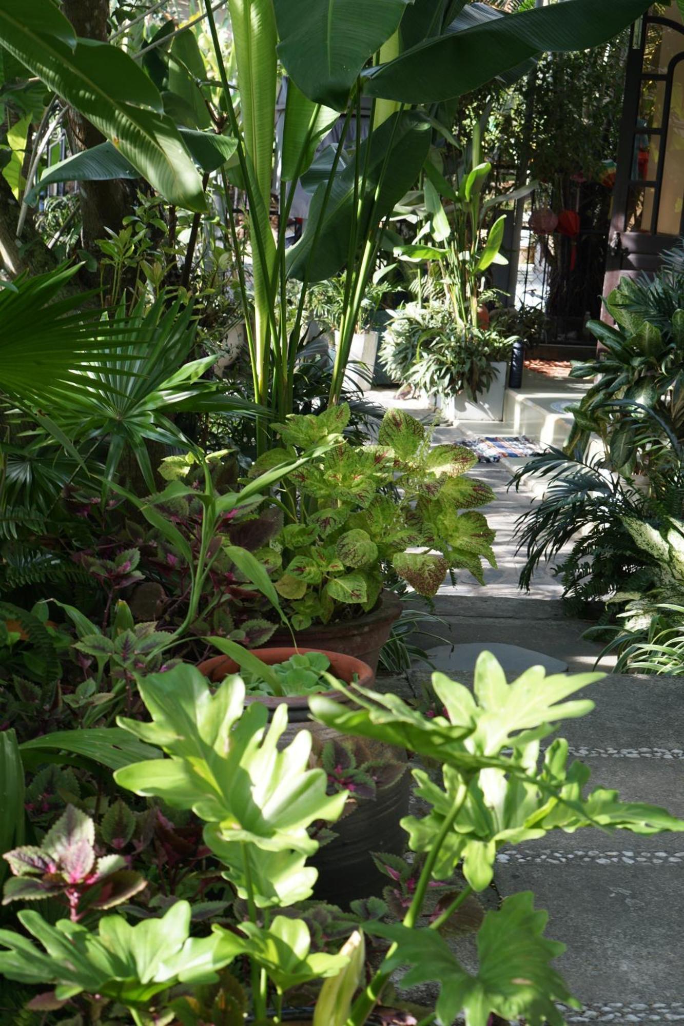 דירות Hoi An Sunny Garden מראה חיצוני תמונה