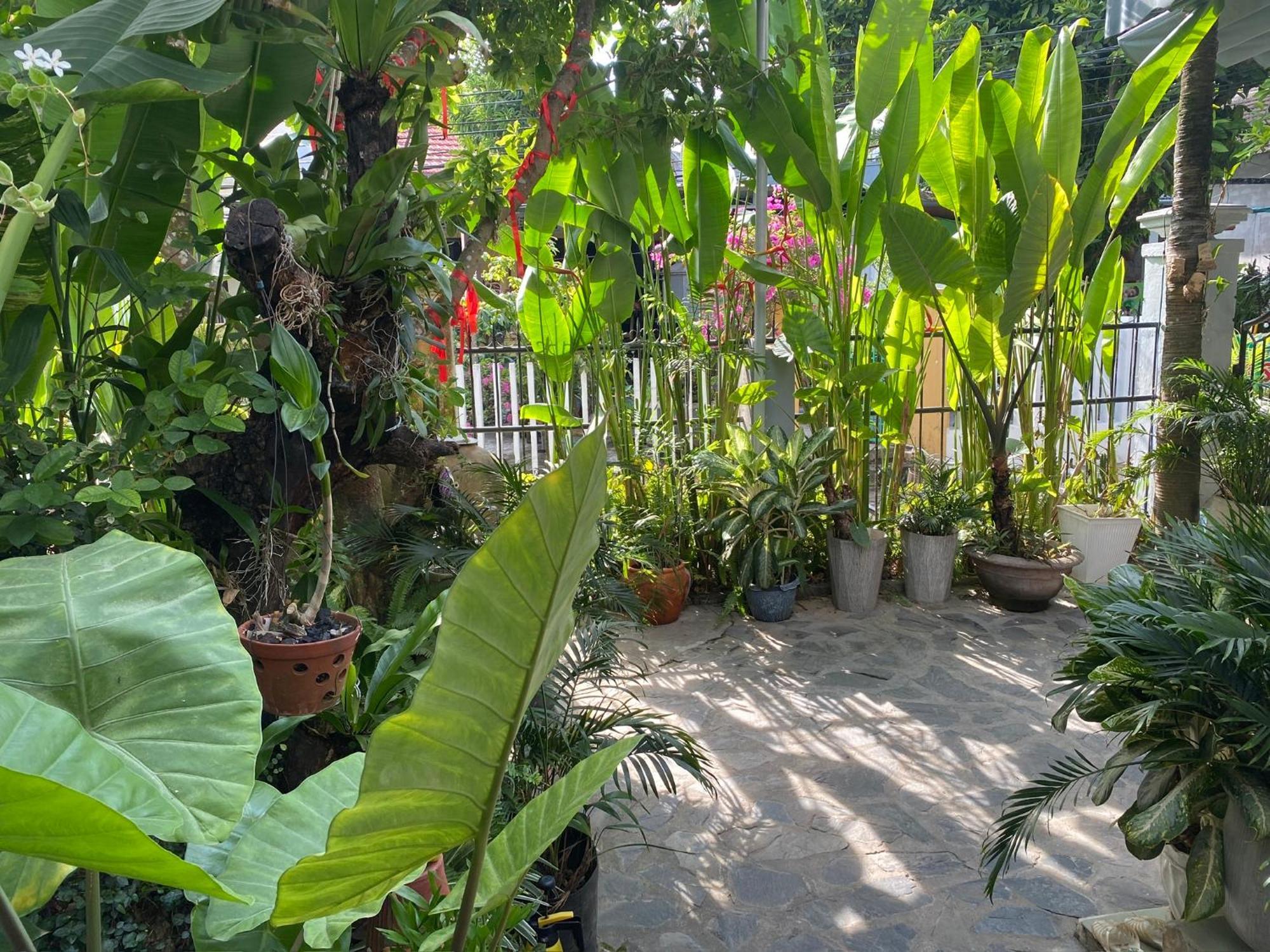 דירות Hoi An Sunny Garden מראה חיצוני תמונה