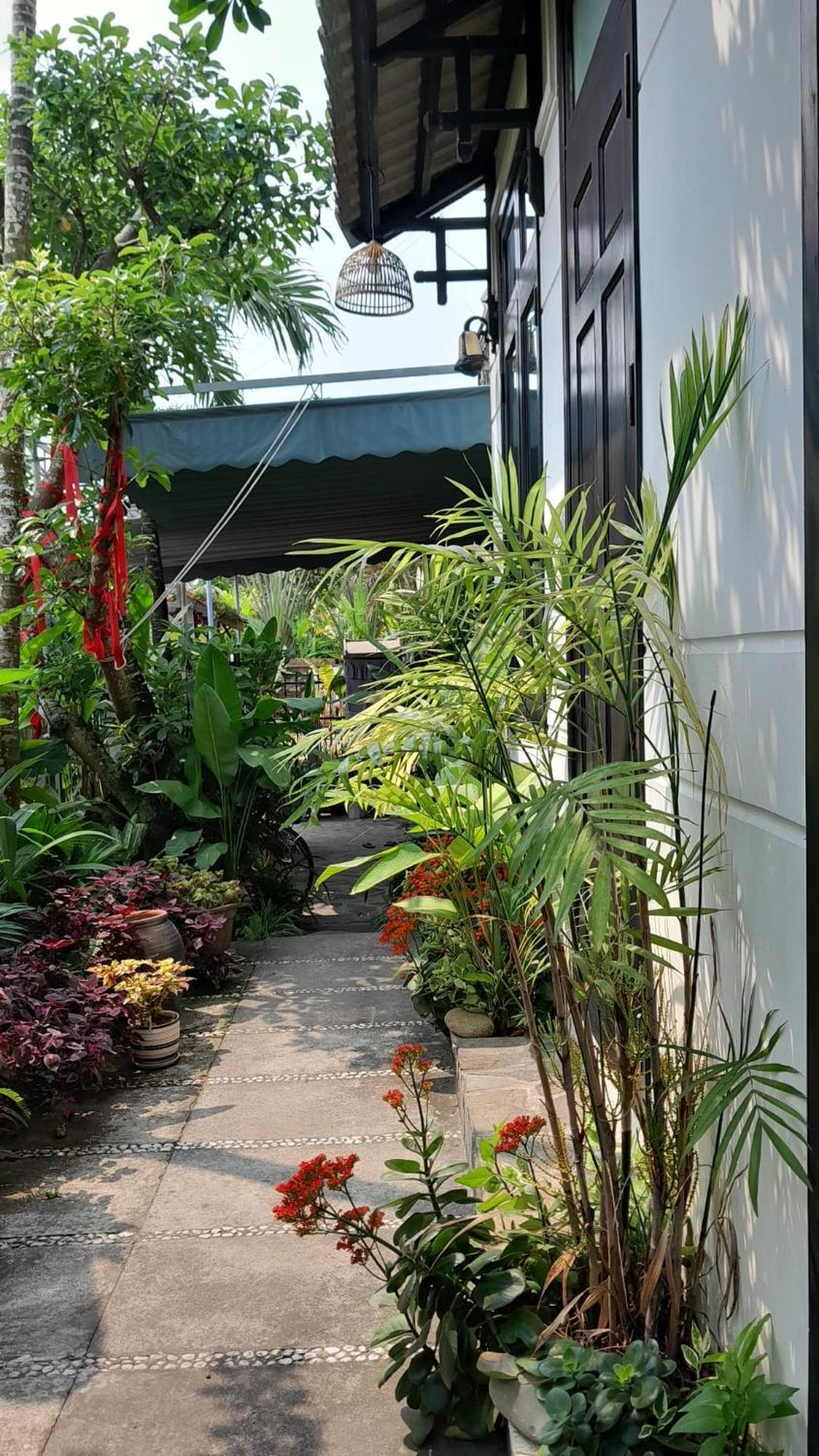 דירות Hoi An Sunny Garden מראה חיצוני תמונה
