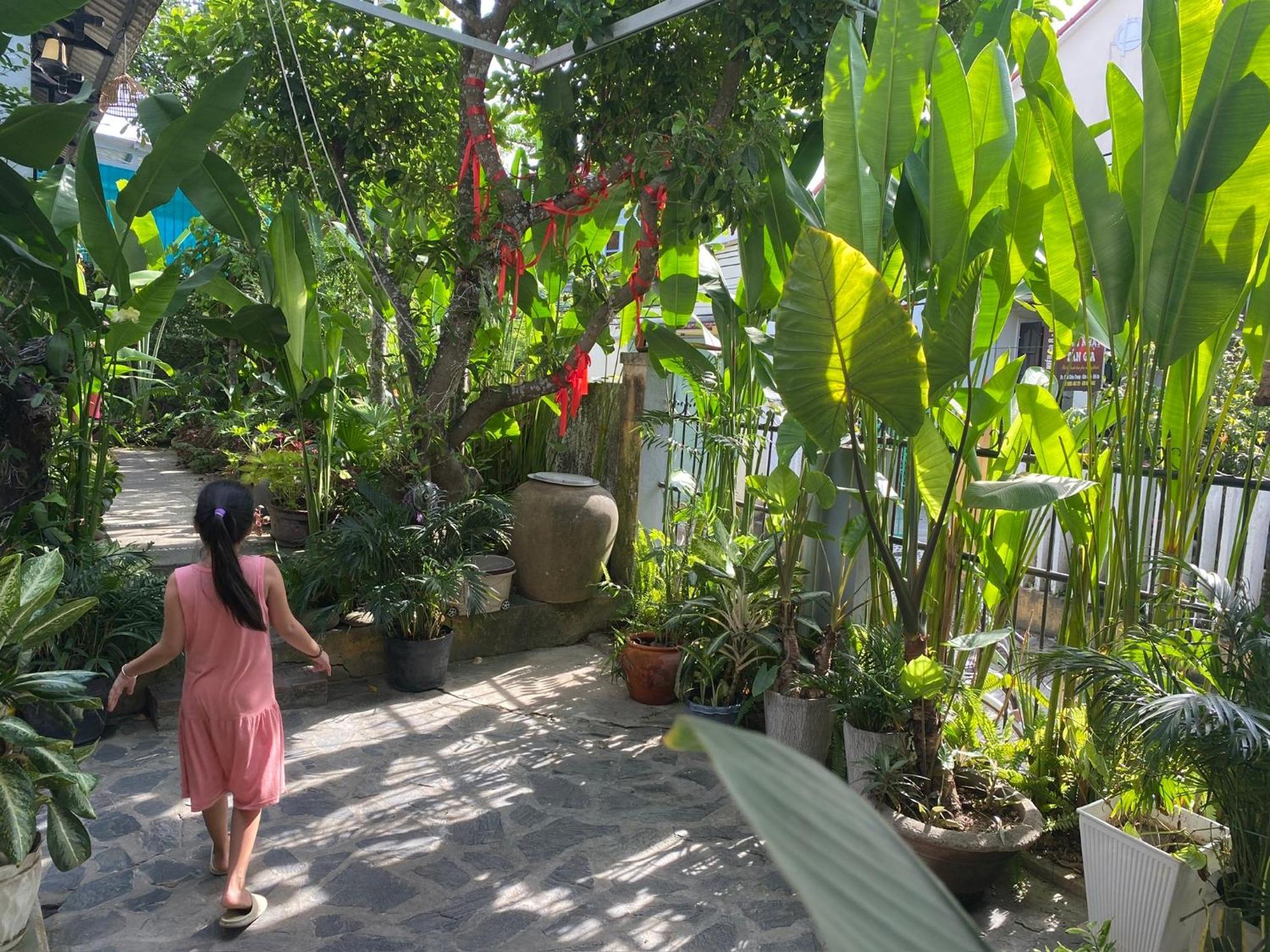 דירות Hoi An Sunny Garden מראה חיצוני תמונה